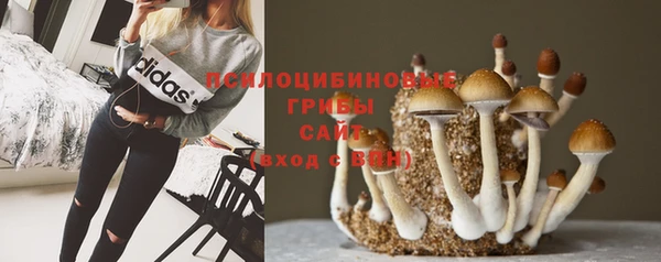 мдпв Нефтегорск